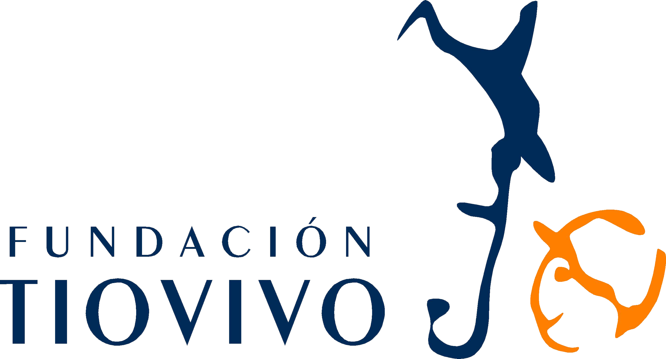 Logo Fundación Tiovivo